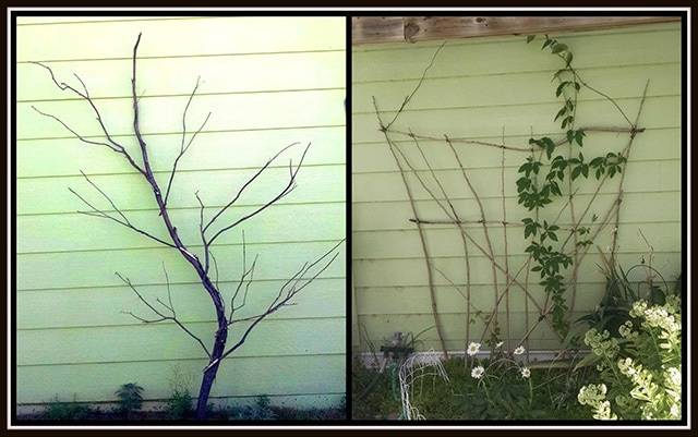 How to Make Your Own Rustic Trellis DIY
