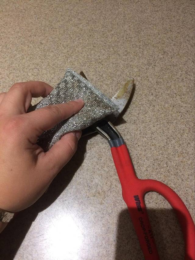How To Remove Rust And Clean Your Pruning Shears