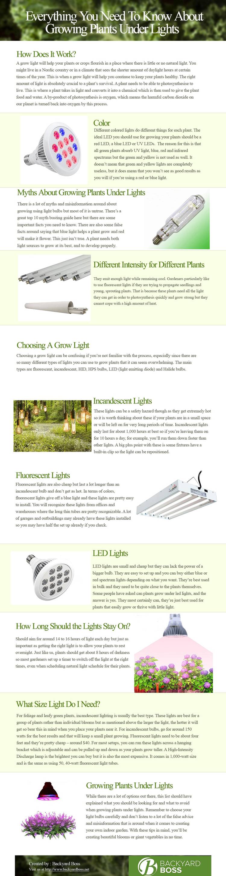 Growing Plants Under Lights - Everything You Need To Know