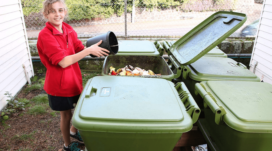 Best Worm Composter Reviews 2019 - Our Top 5 Picks