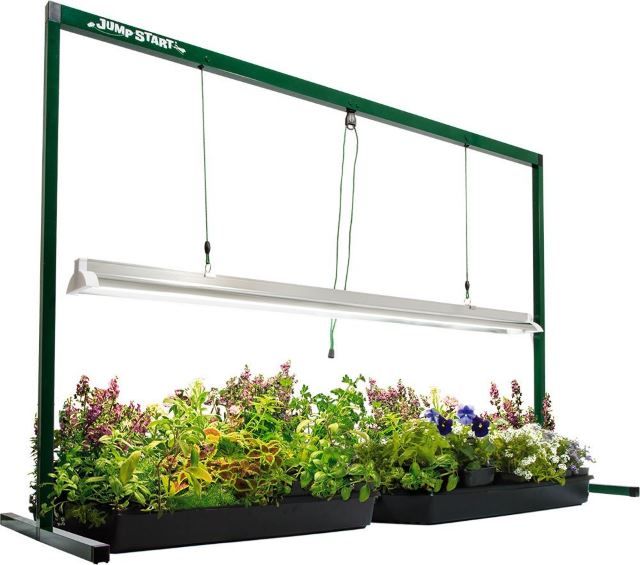 Best Grow Lights for Succulents 2019