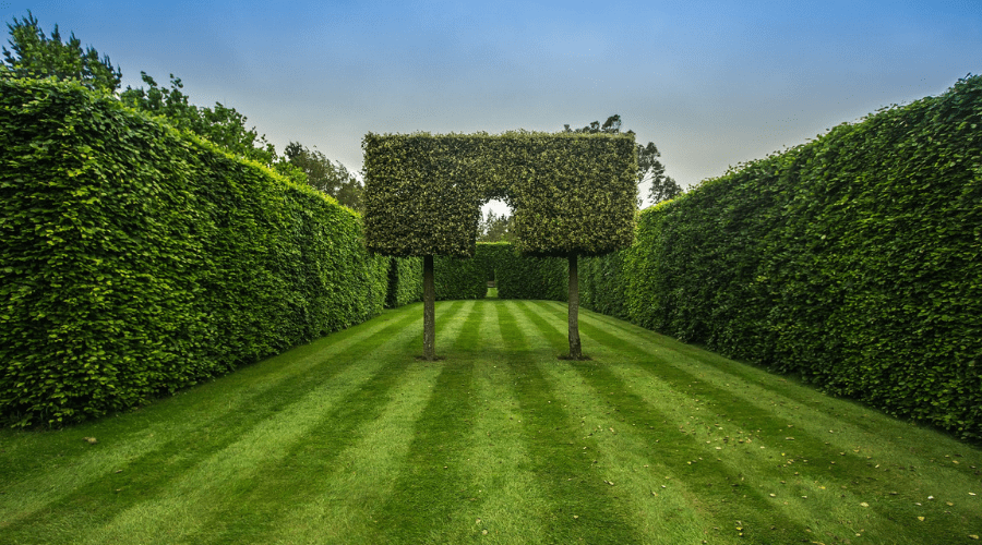 63 of The Best Landscape Hedge Ideas: #39 is Awesome!