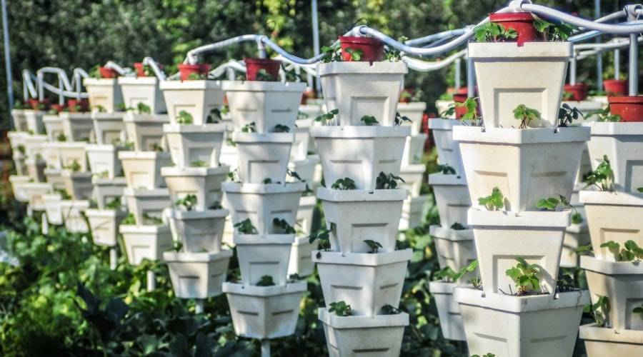square planters H Potter 20