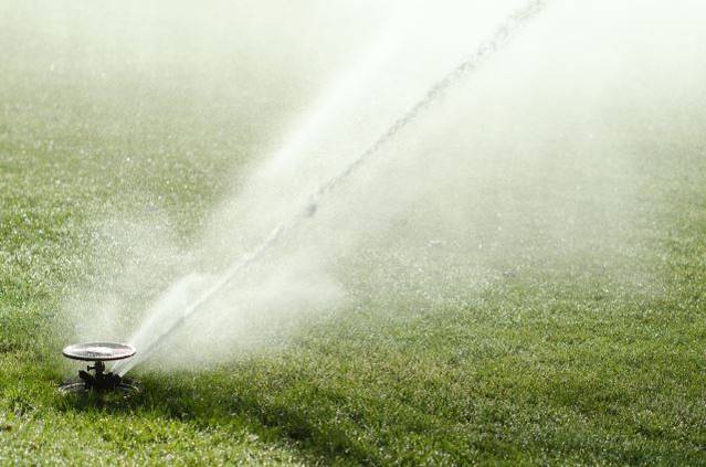 Impact Sprinkler