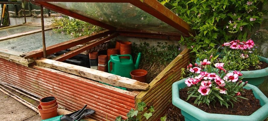 Gardeners Cold frame in the garden, used to protect seedlings from frost during winter