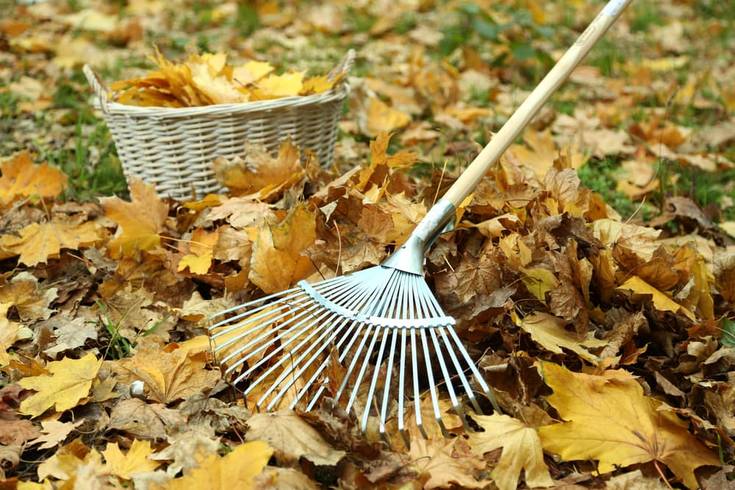 Leaf Blower VS Rake: The Pros and Cons to Both