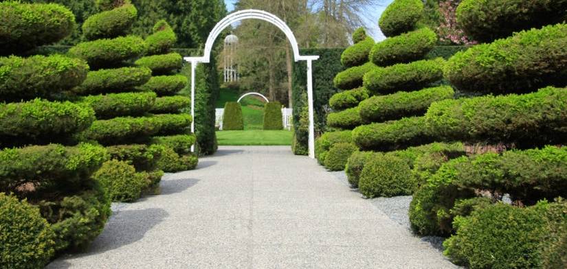 17 Awesome Bush & Shrub Sculptures You Must See To Believe