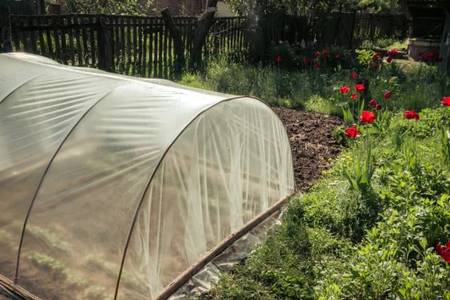 Everything You Need to Know About Cold Frame Gardening