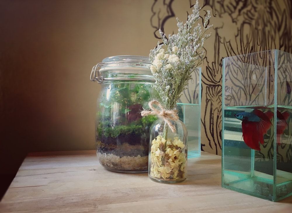 Terrarium with dried flower and small aquarium on table in coffee shop in Thailand.
