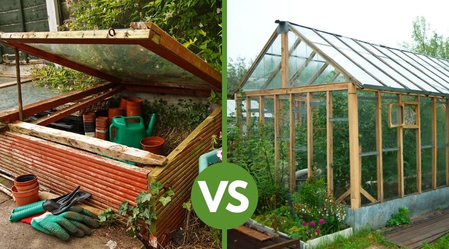 Key differences: cold frame vs greenhouse