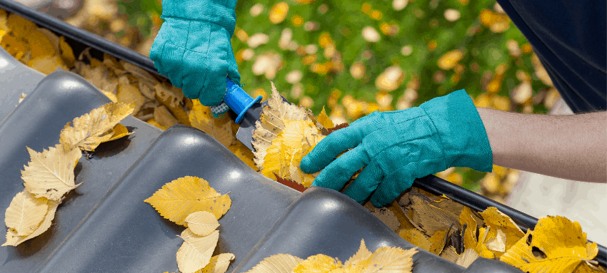 How to Clean Gutter Guards