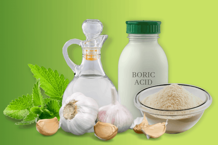 Organic Pest Control - Everything You Need to Know About It