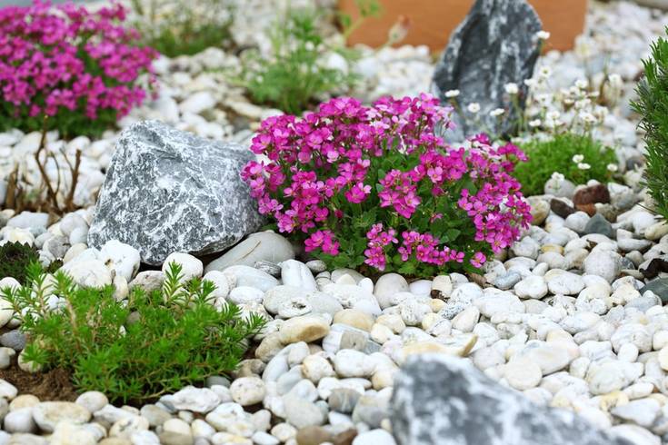 Beautiful rock garden cultivated roof gardening