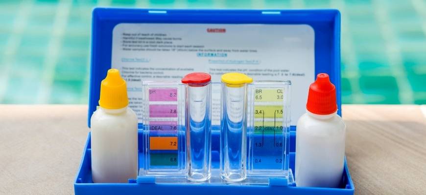 Best Soil Test Kit: A Healthy Foundation for Plant Growth