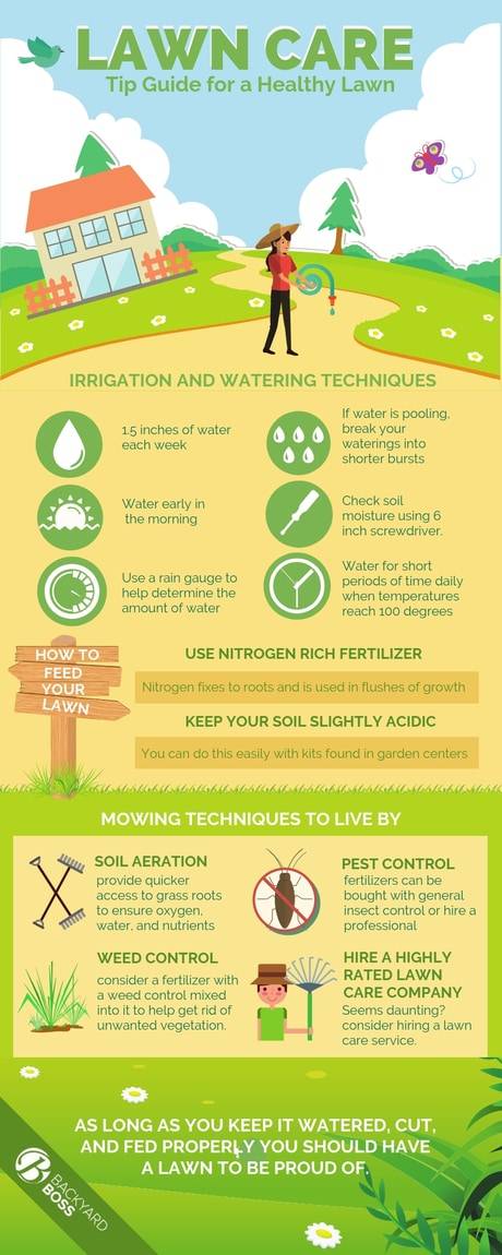 Lawn Care Tips: Year Round Maintenance for a Healthy Lawn