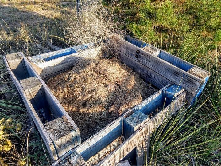 How to Make Compost: Black Gold for Your Own Garden