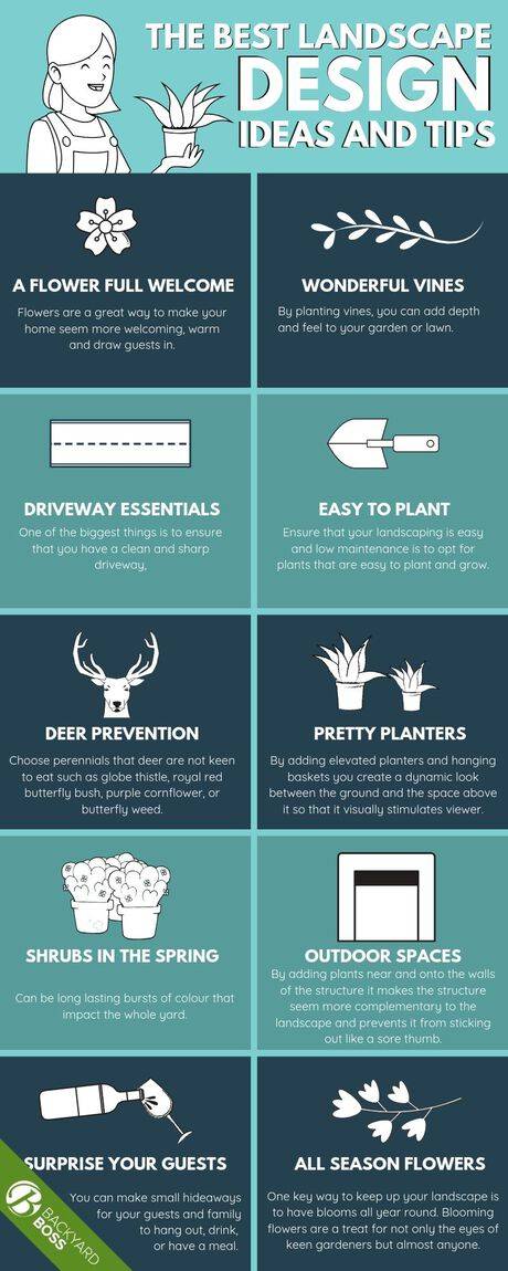 Some of the Best Landscaping Design Ideas and Tips For Beginners