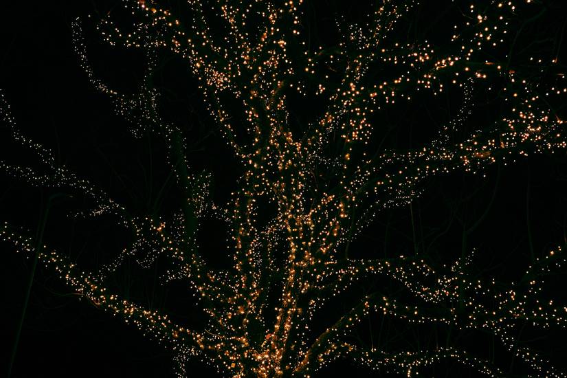 Types of String Lights and What You Should Know