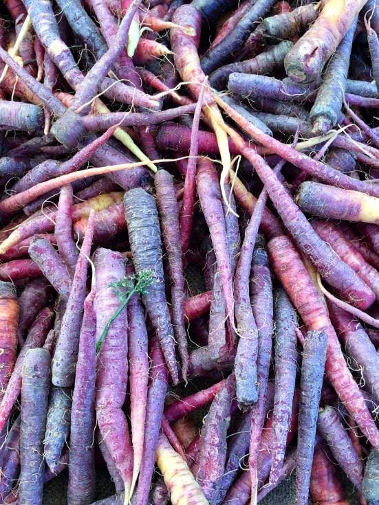 how-to-grow-carrots-the-ultimate-guide