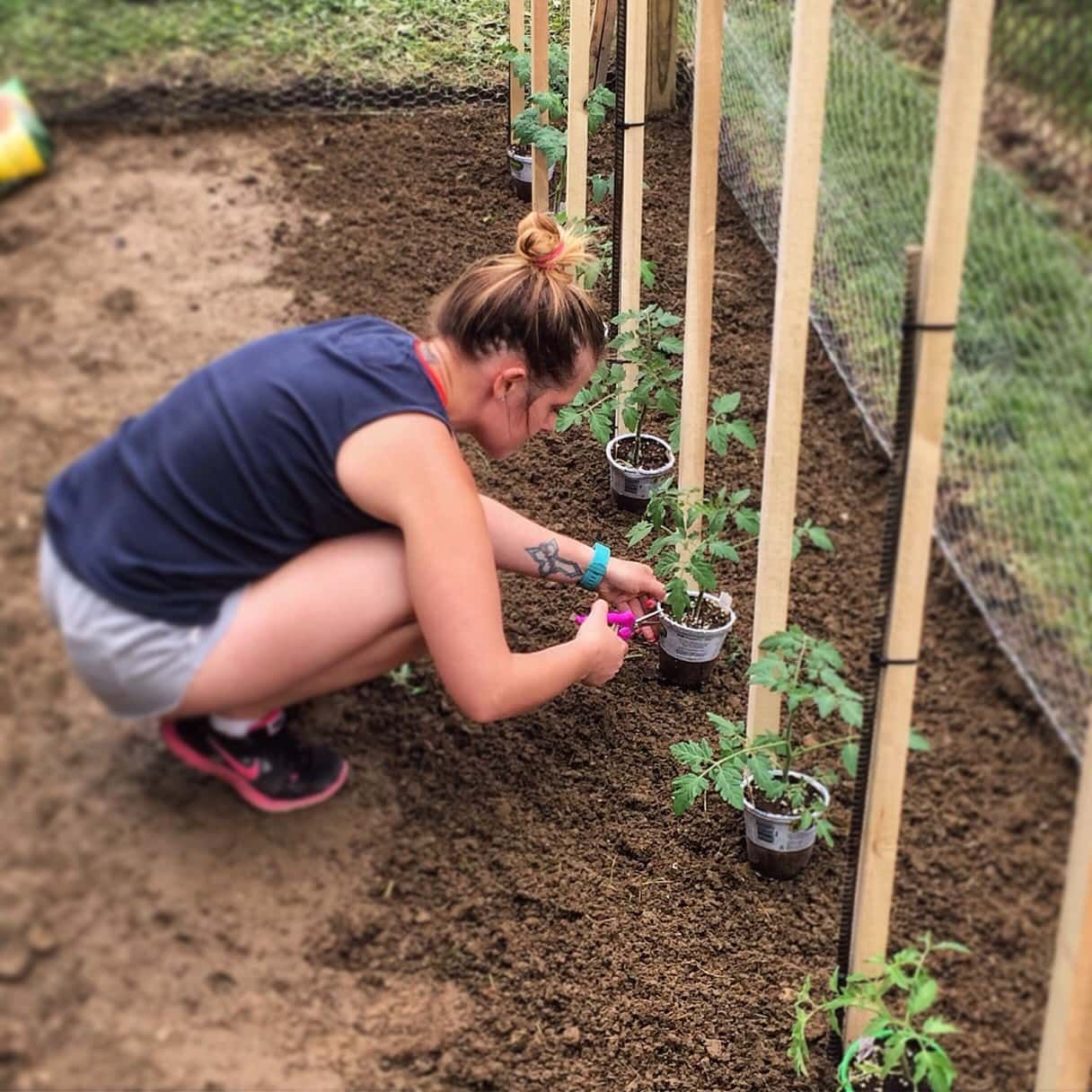 how-to-grow-great-green-beans-the-complete-guide