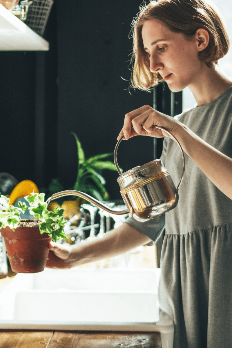 woman watering houseplants with metal watering can