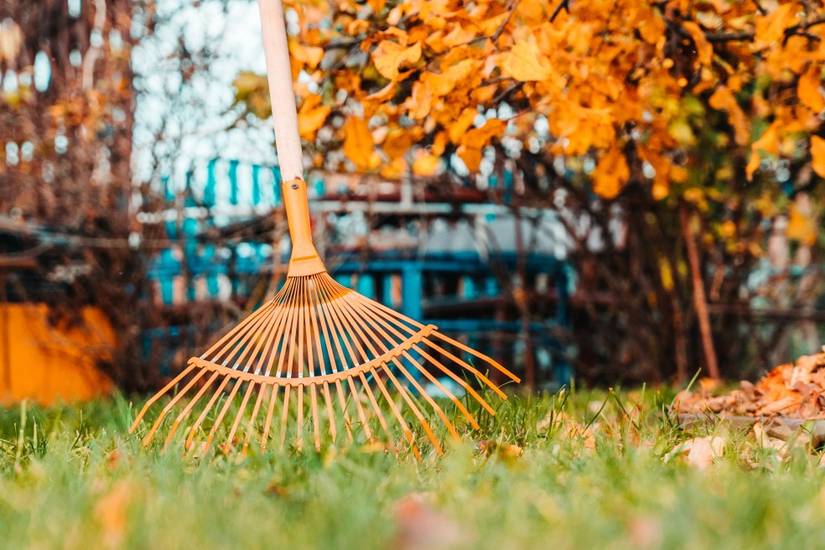 Fall Leaves Rack Leaf Raking Hacks