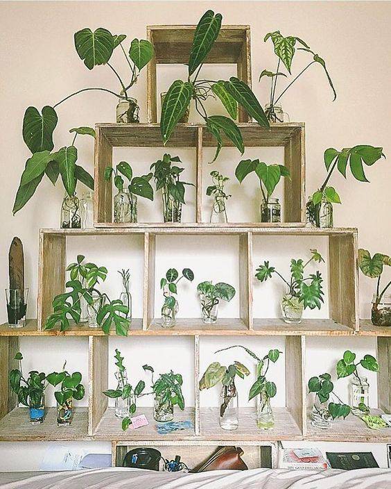17 Amazing Propagation Station Ideas