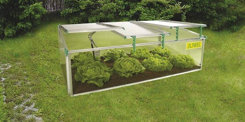 The Best Cold Frame for Your Vegetables