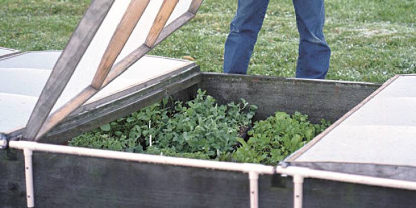 26 Cold Frame Plans to Keep you Growing