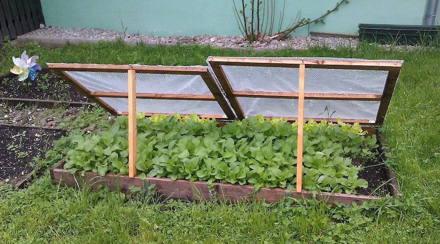 26 Cold Frame Plans to Keep you Growing