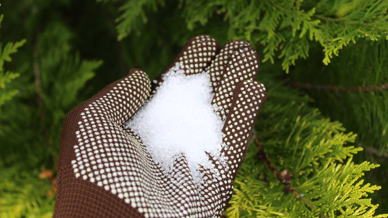 Pre-soaking: simple hydration hacks