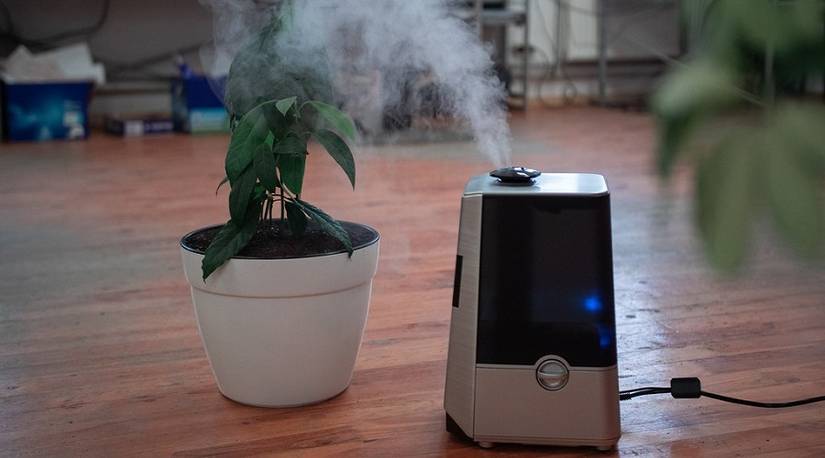 Turned on air purifier on the floor near plant.