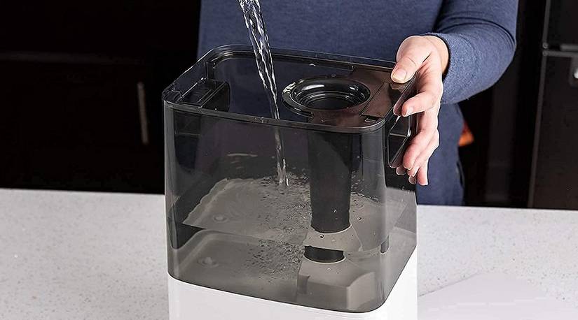 Best Humidifier for Plants - Top Picks of 2021