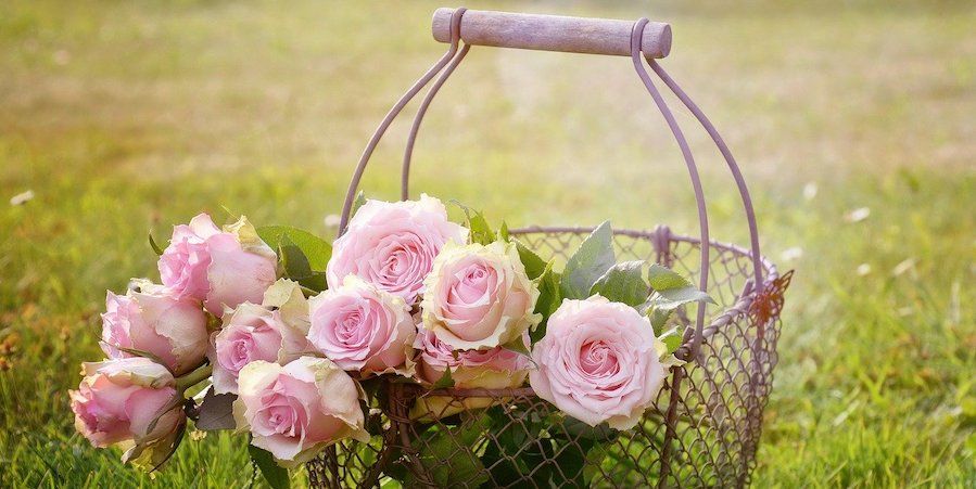 Rose-Featured.jpg?w=1200&h=628