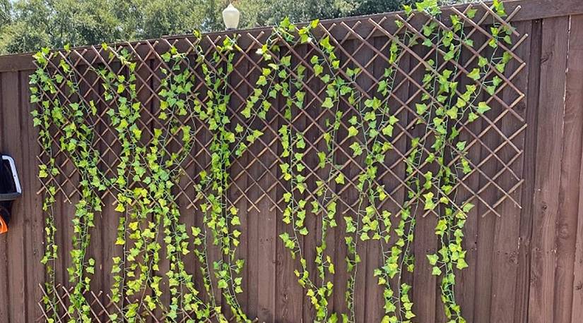 The Best Front Yard Trellis in 2021