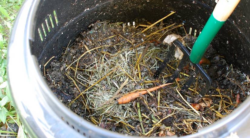 6 Ways To Use Straw In Your Garden