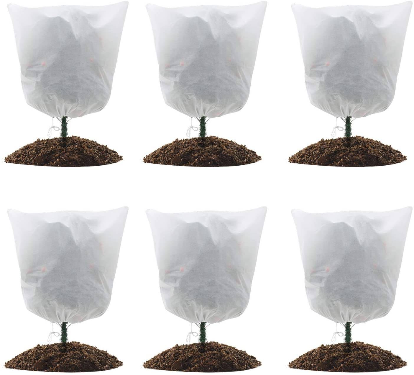 Best Outdoor Winter Plant Covers for Freeze Protection in 2021