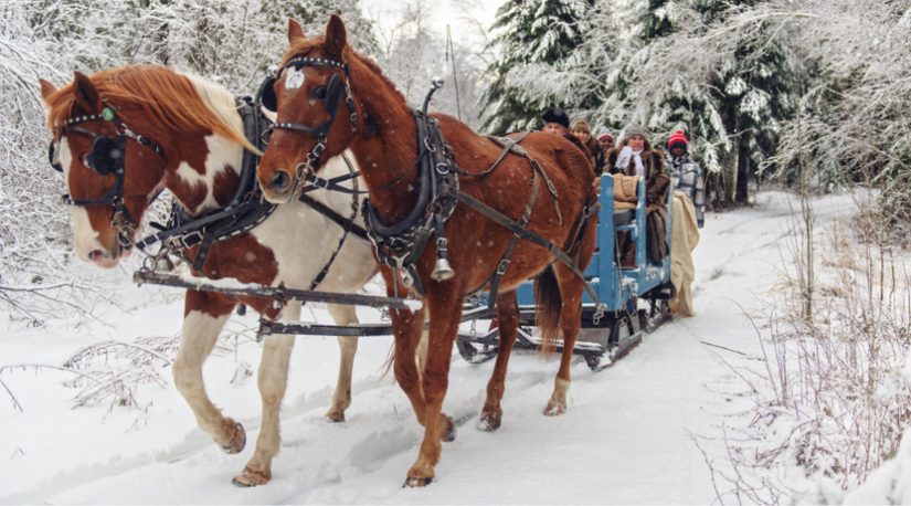 21 Super Fun Things To Do in the Snow