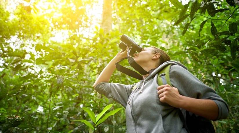 What Are The Benefits of Birdwatching?