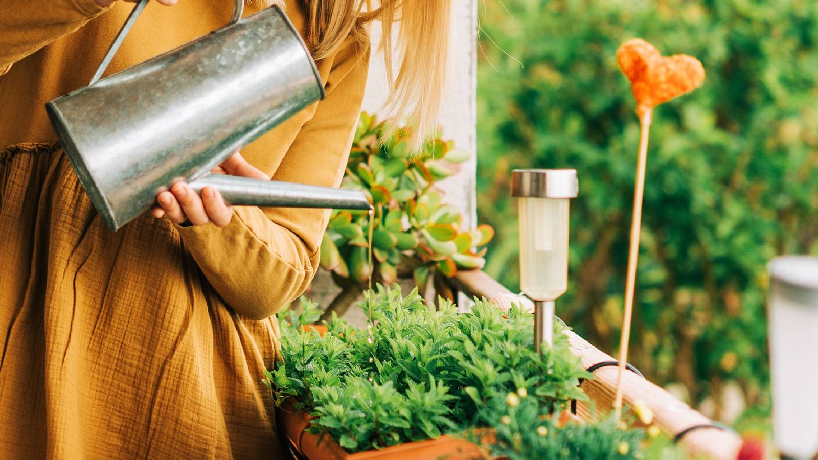 11 Reasons Why Hydrogen Peroxide For Plants is a Must
