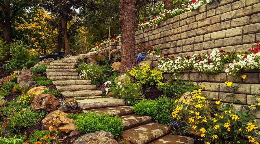 Retaining Wall Plants To Make Your Landscape Stand Out
