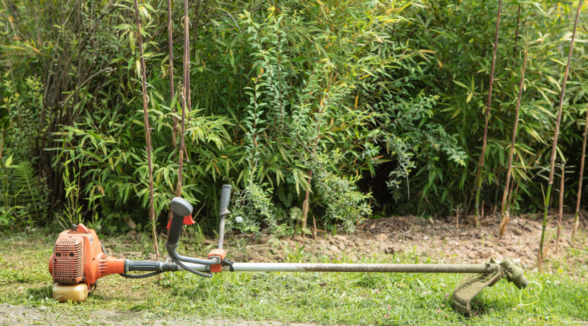 The Best Brush Cutters to Get Your Yard Cleaned Up