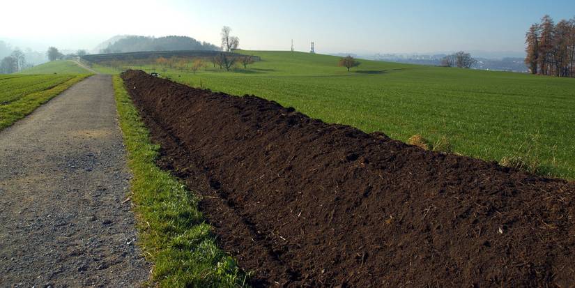 Benefits Of Composting For Your Garden