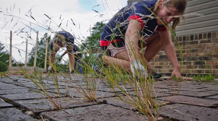 15 Essential Spring Gardening Tasks