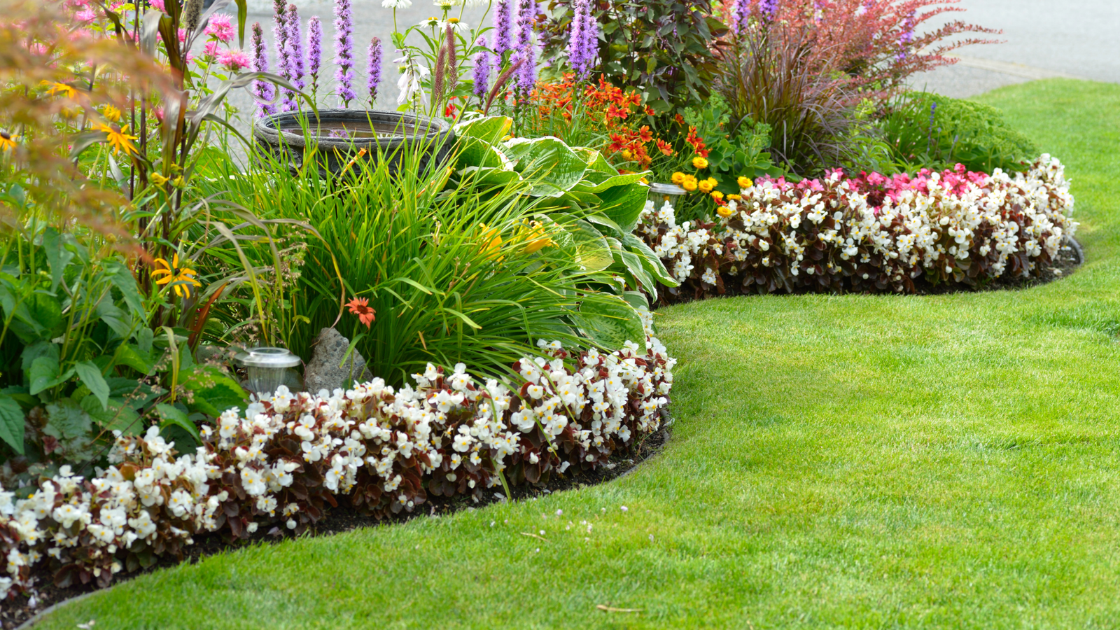 View of 12 Plants to Grow in Low pH Soil