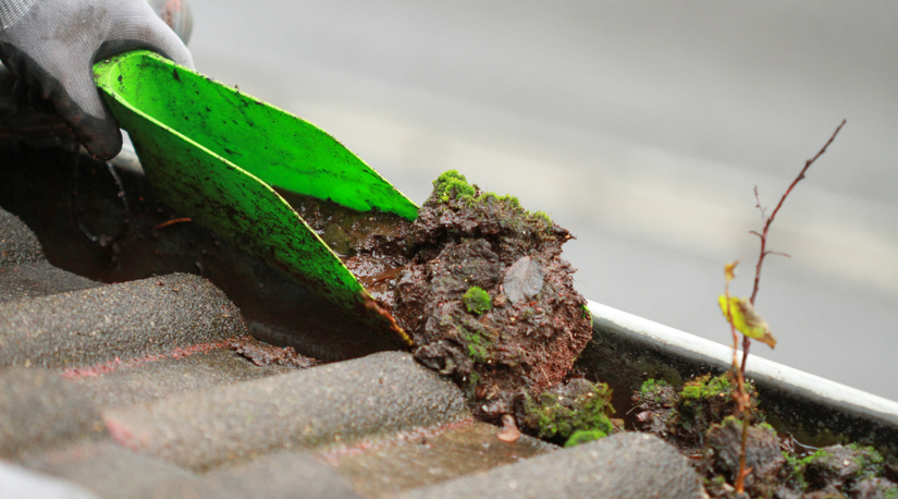 Why You Should Clean Your Gutters In The Spring