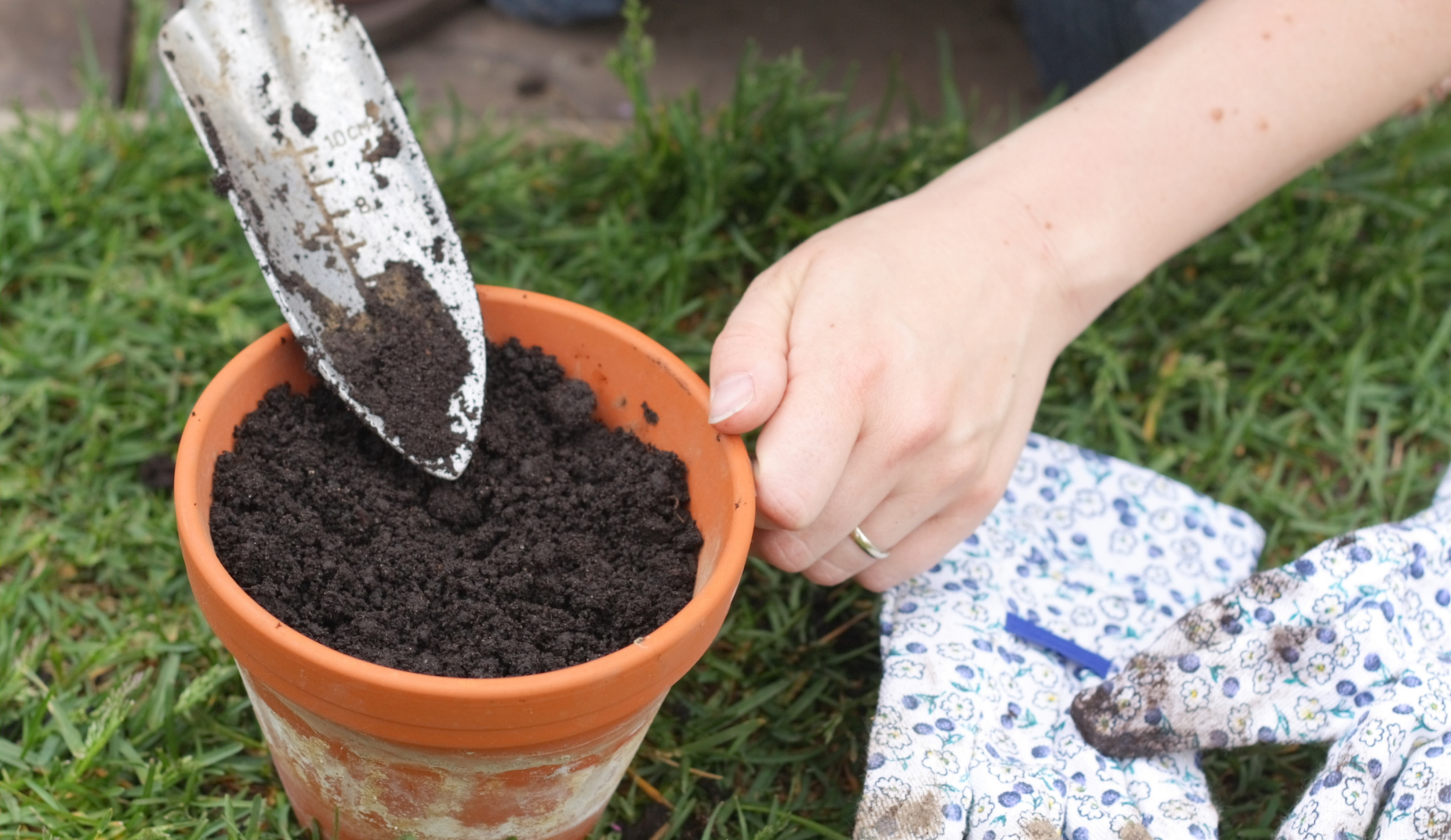 Potting Mix vs Potting Soil: What's the Difference?