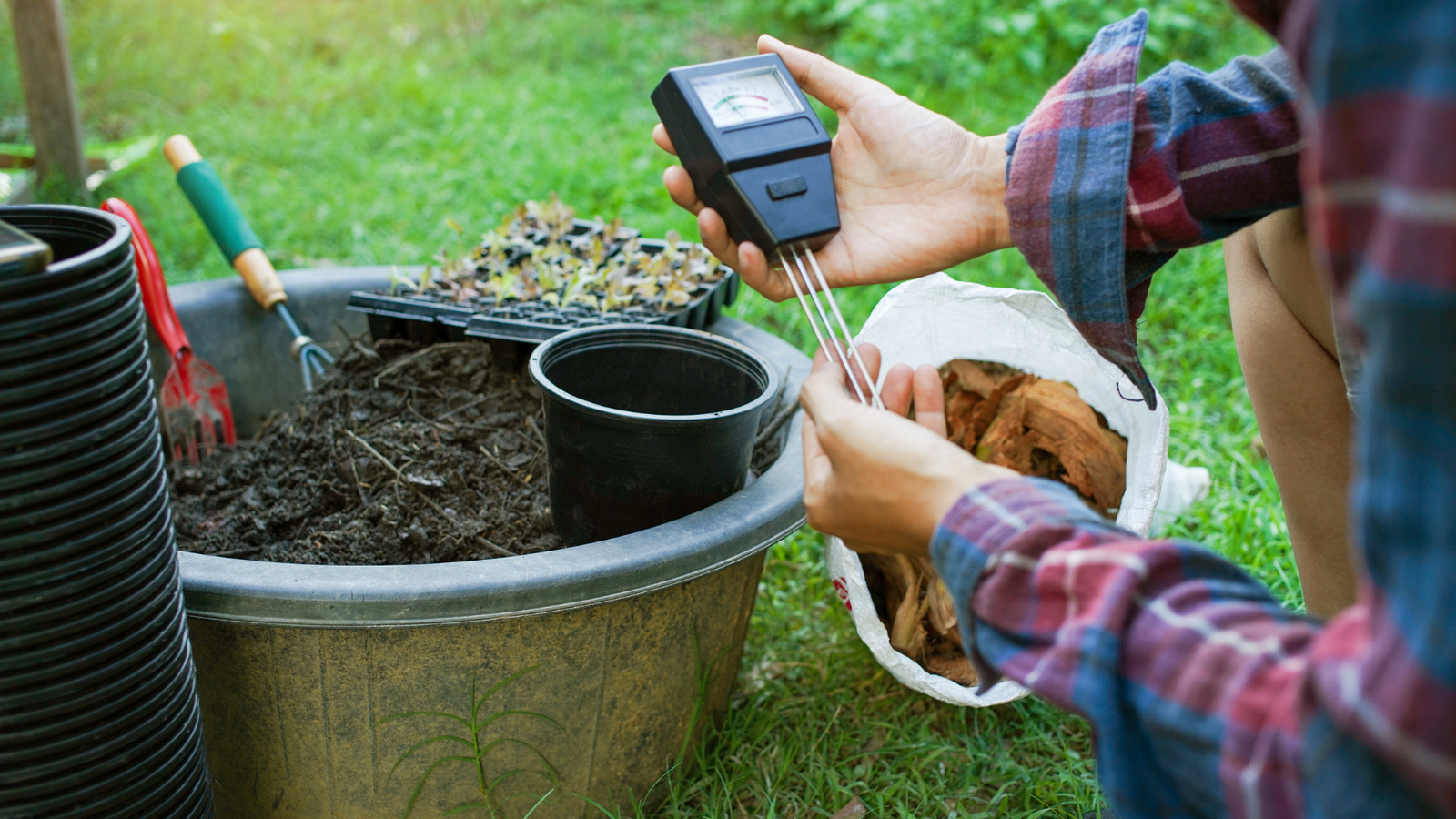 How to Test Soil pH