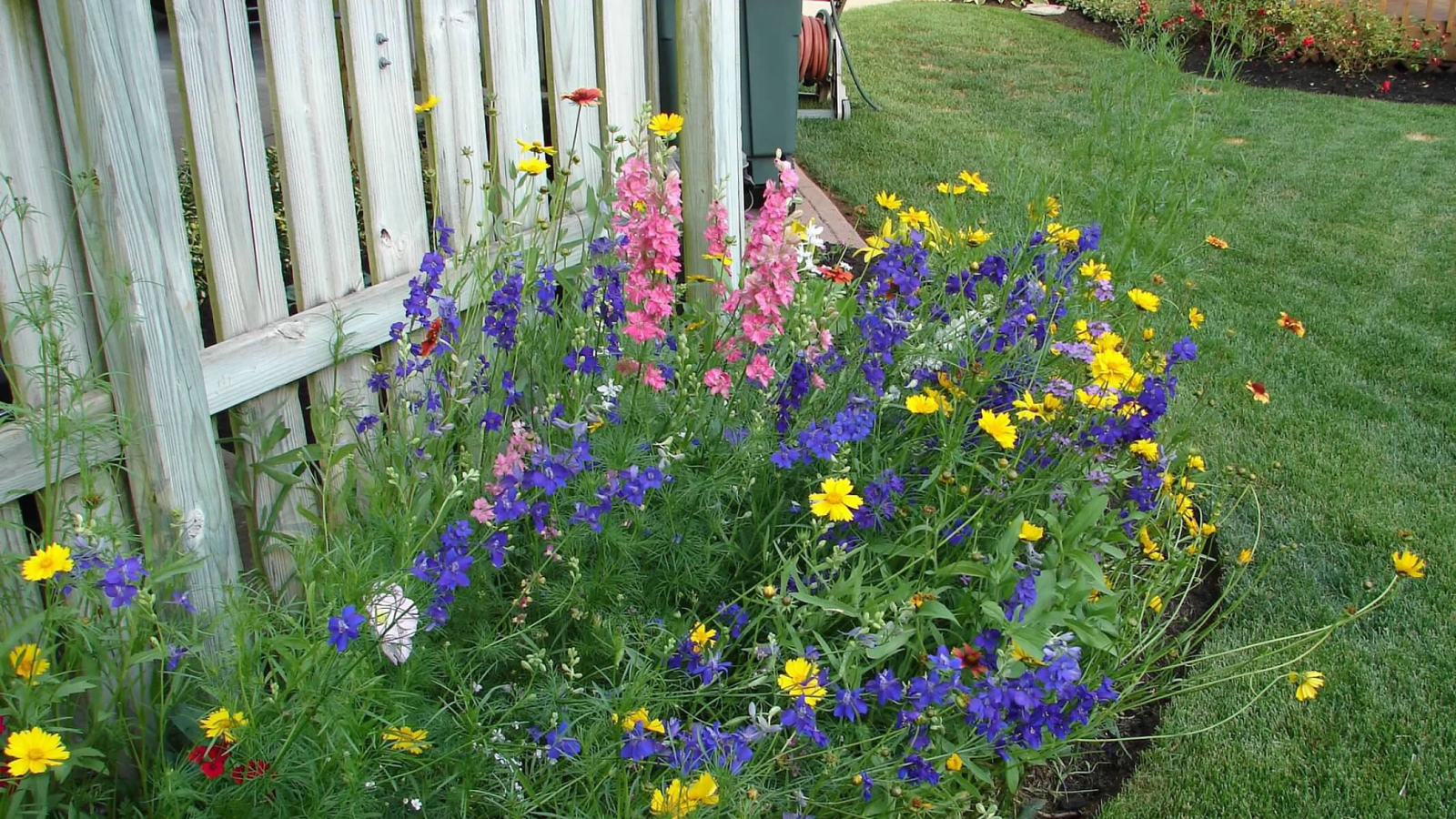 When to Plant Wildflower Seed For a Colorful Natural Garden