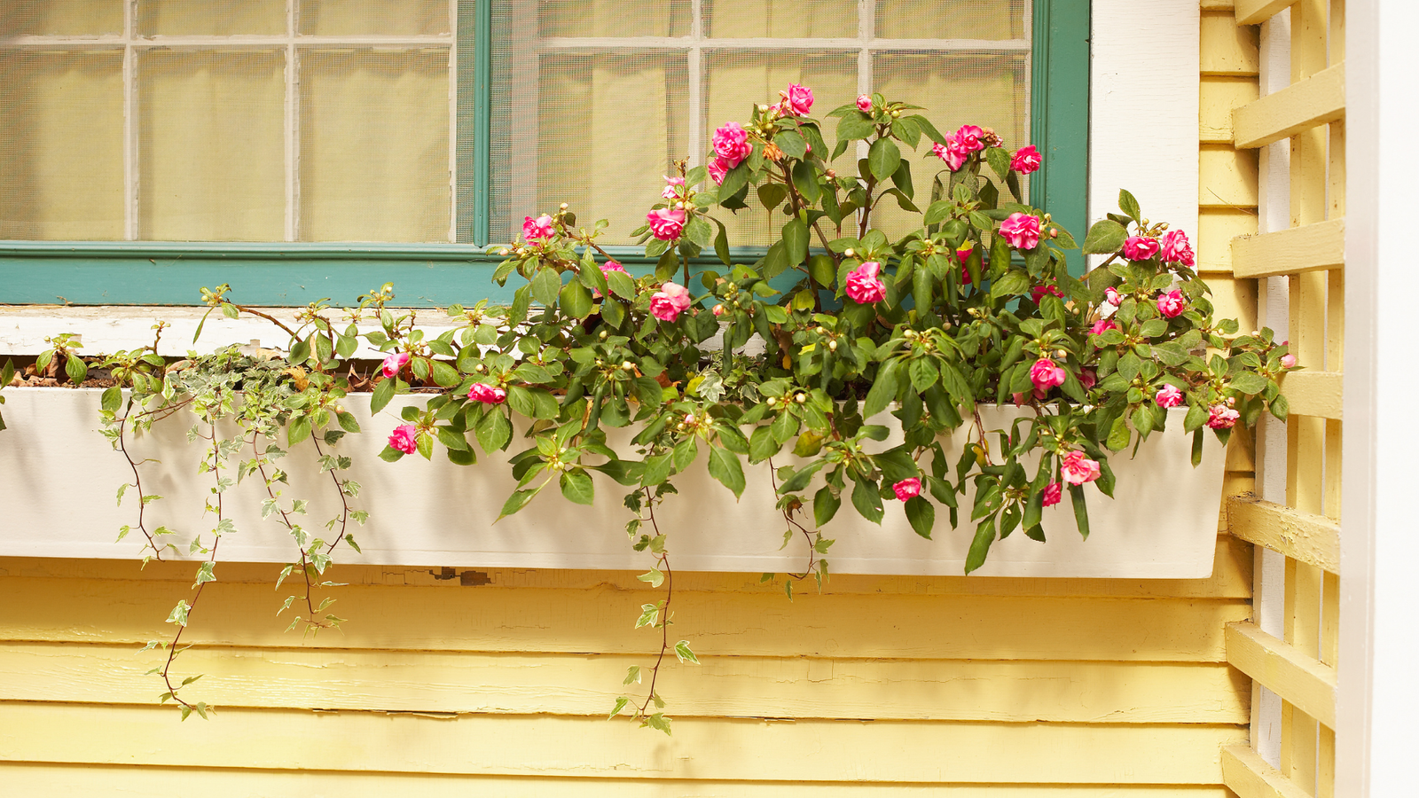 15 of The Best Window Planter Ideas